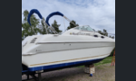Sea Ray 270 Sundancer DA-kuva-8